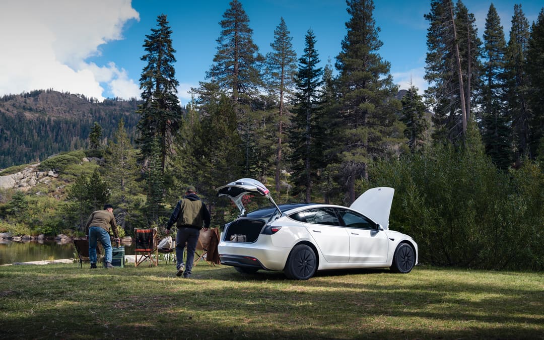 White Model Y Standard parked at a forest campsite with its tailgate open