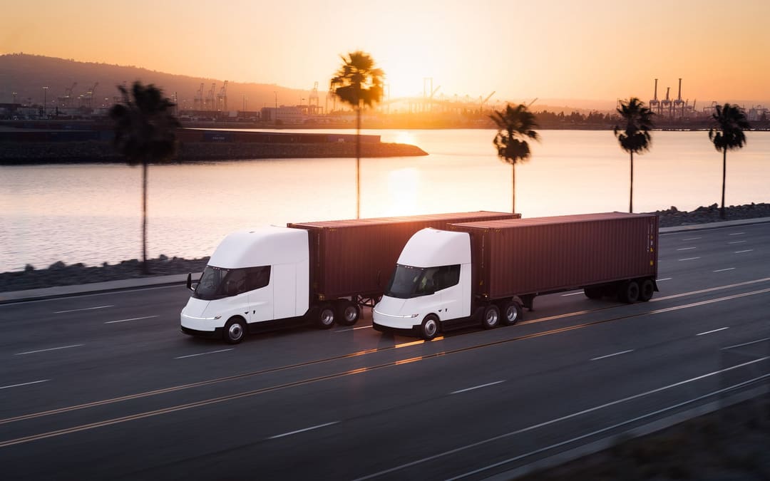 Two Tesla Semis hauling containers along a palm-lined road at sunset